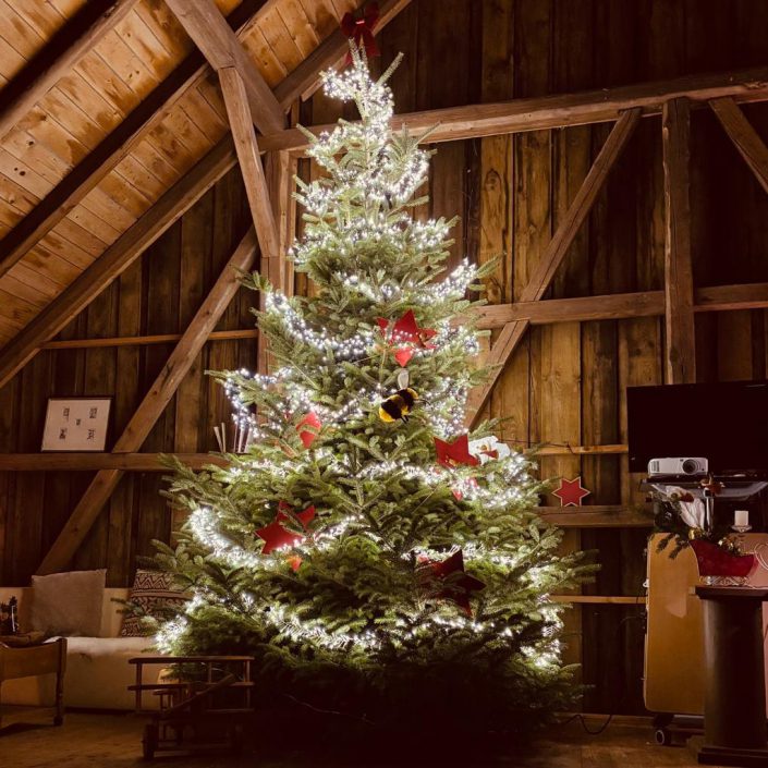 Der Datex-Perfekt-Weihnachtsbaum - mit Hummel